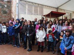 Bicentenario 2011