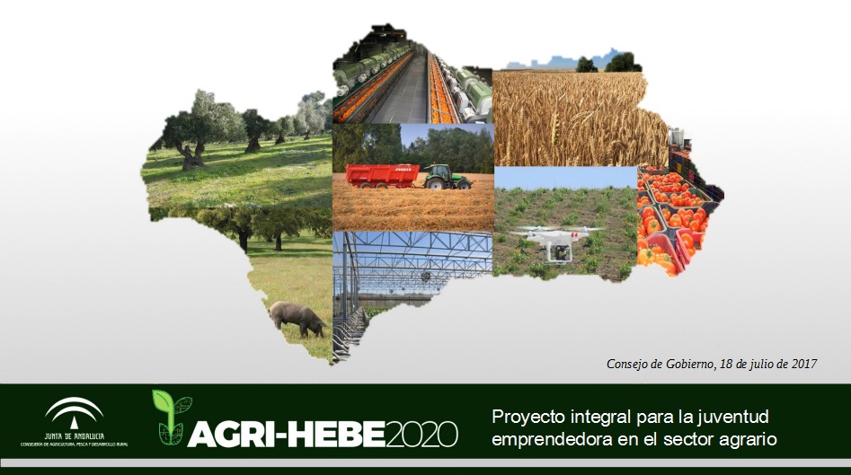 imagen agri hebe 2020